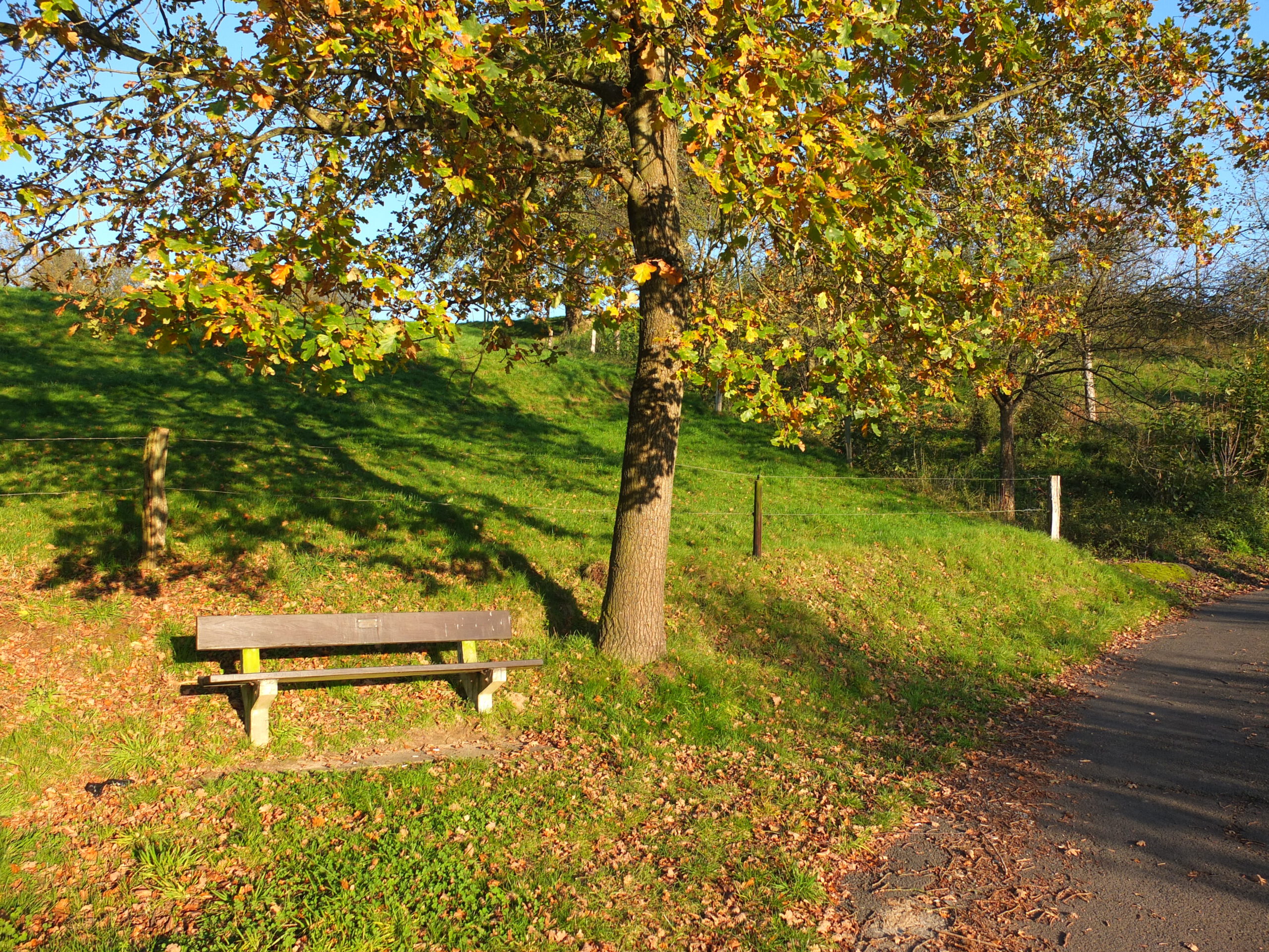 317 Katharinenbach